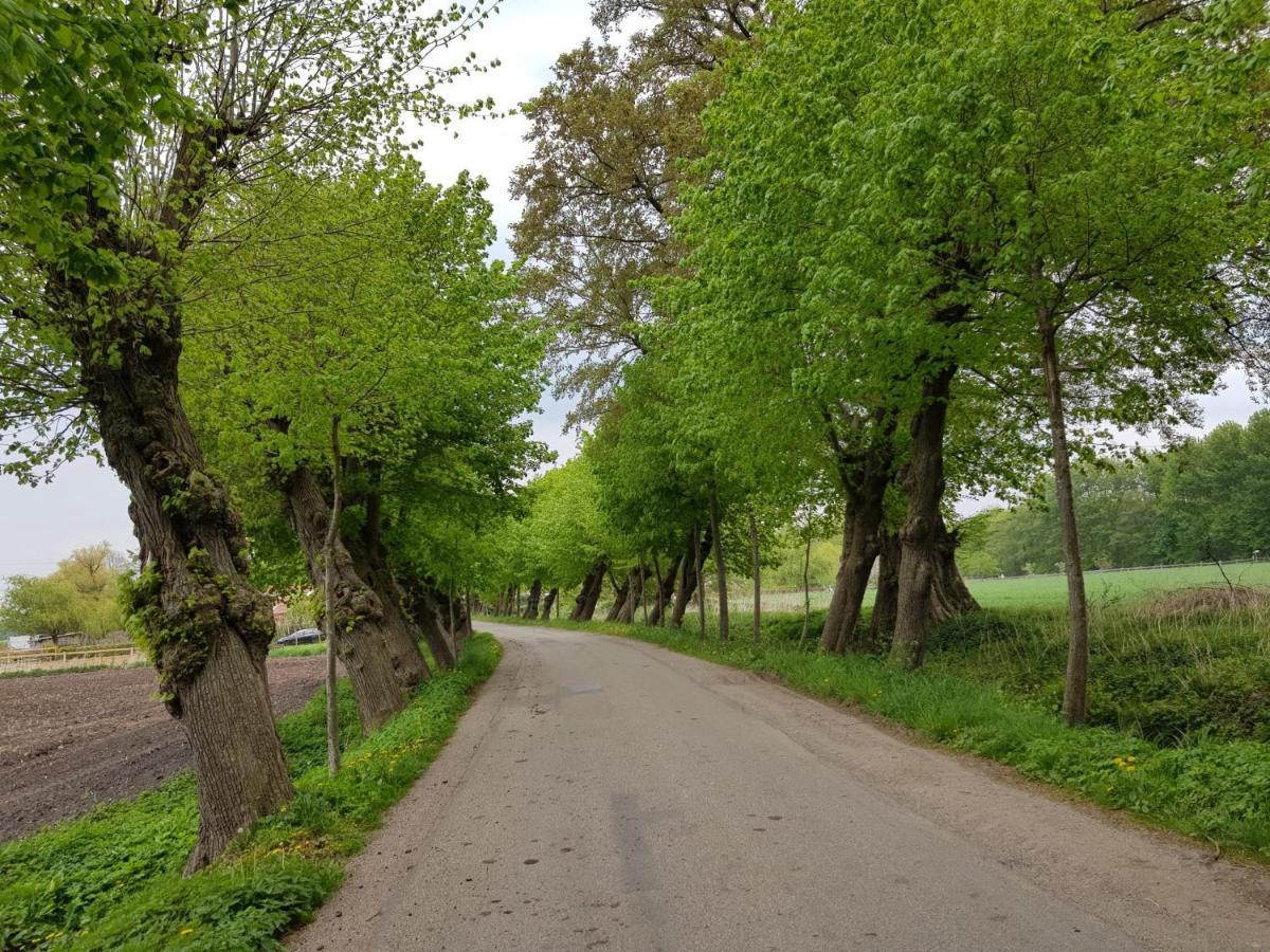 Ferienwohnung Varus Ostercappeln Exteriör bild